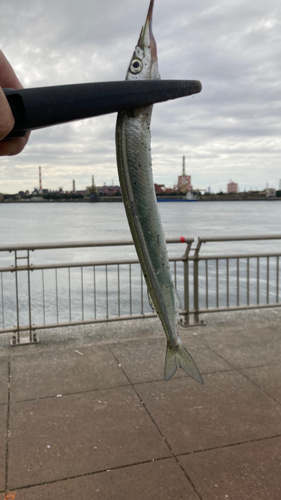 東扇島西公園