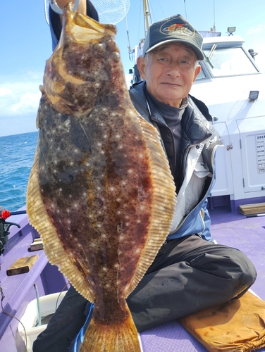 ヒラメの釣果