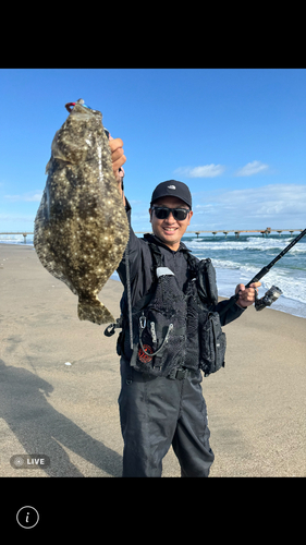 ヒラメの釣果