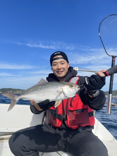 ショゴの釣果