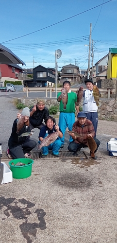 マハタの釣果