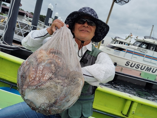 マダコの釣果