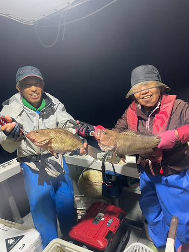 オオモンハタの釣果