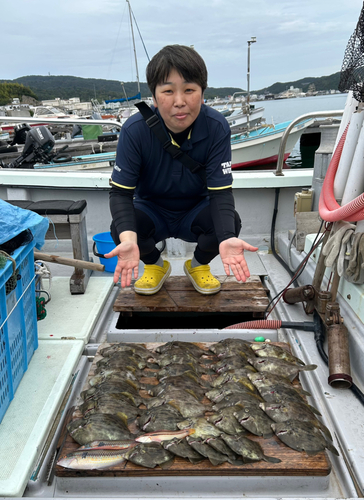 カワハギの釣果