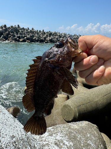 釣果