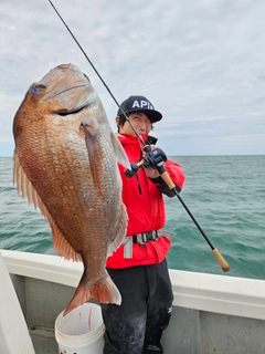 タイの釣果