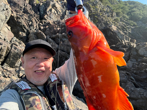 アカハタの釣果