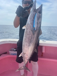 ハガツオの釣果