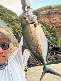 ナンヨウカイワリの釣果