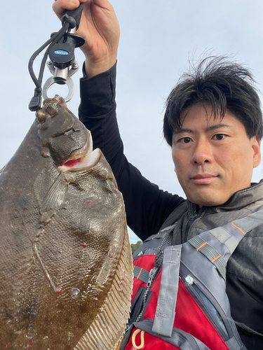 カレイの釣果