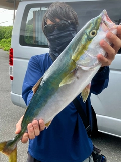 ワラサの釣果