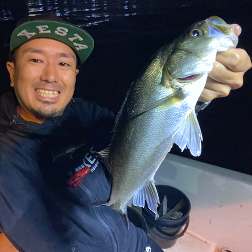 東京湾（アクアライン〜富津）