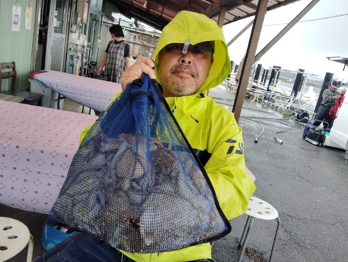 マダコの釣果