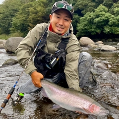 ホウライマスの釣果