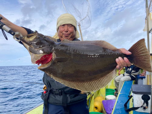 ヒラメの釣果