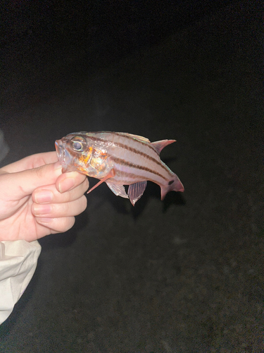 湯河原海浜公園