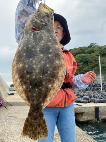 ヒラメの釣果