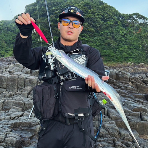 タチウオの釣果