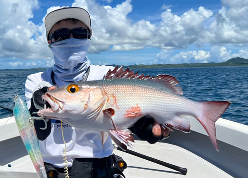 バラフエダイの釣果