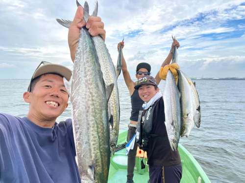 サゴシの釣果