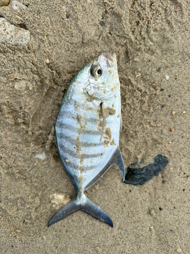 沖縄本島