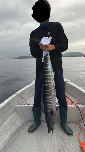 オキサワラの釣果