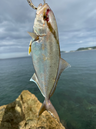 長崎湾