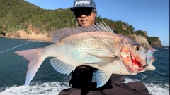 タイの釣果