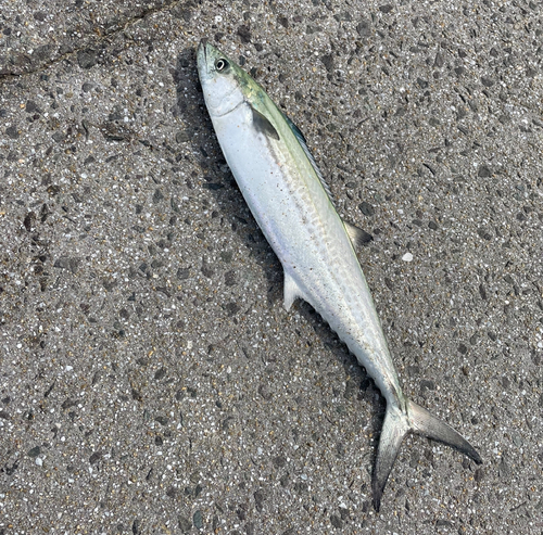 福間漁港海浜公園