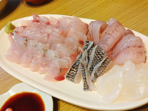 ショゴの釣果