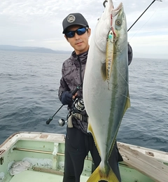 メジロの釣果