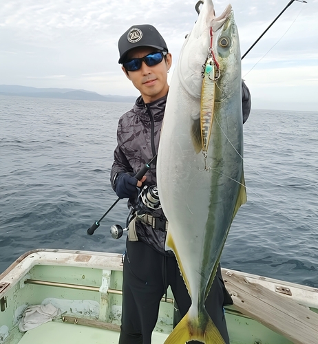 メジロの釣果