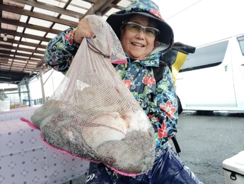 マダコの釣果