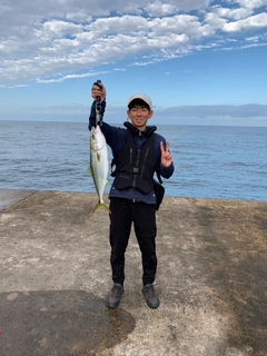 ハマチの釣果