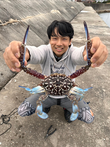 タイワンガザミの釣果