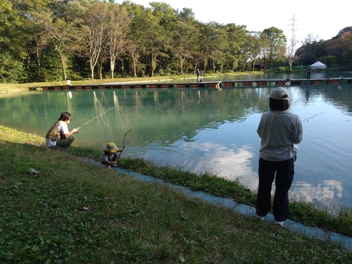 レインボートラウトの釣果