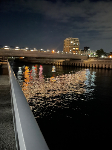 中崎のベランダ護岸