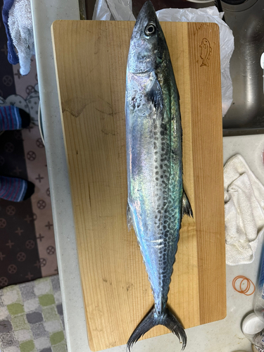 釣果