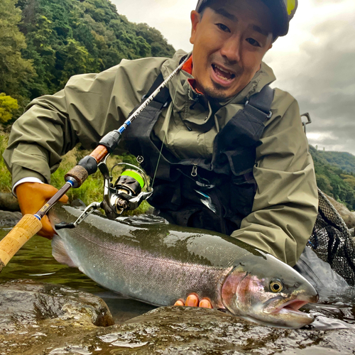 ホウライマスの釣果