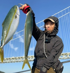 ハマチの釣果