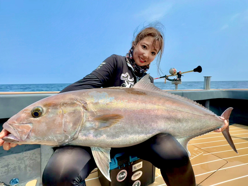 カンパチの釣果