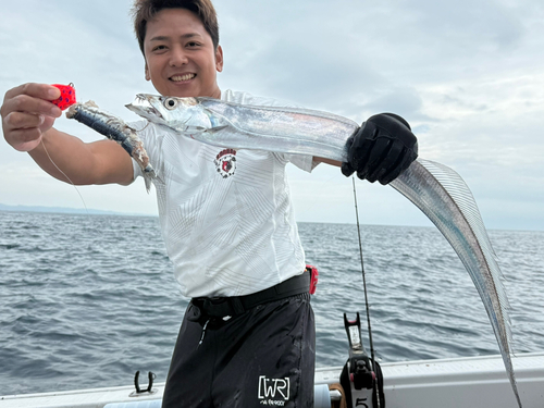 タチウオの釣果