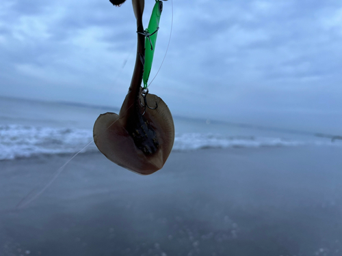 東京湾（アクアライン〜富津）