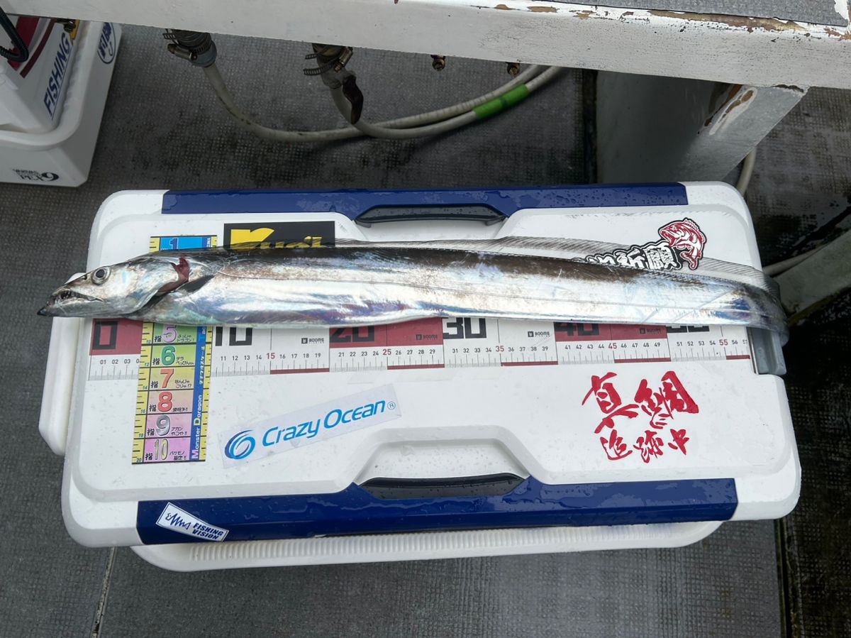 たけしハイさんの釣果 1枚目の画像