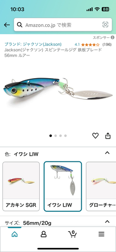 マアジの釣果