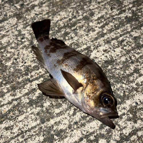 那珂湊港