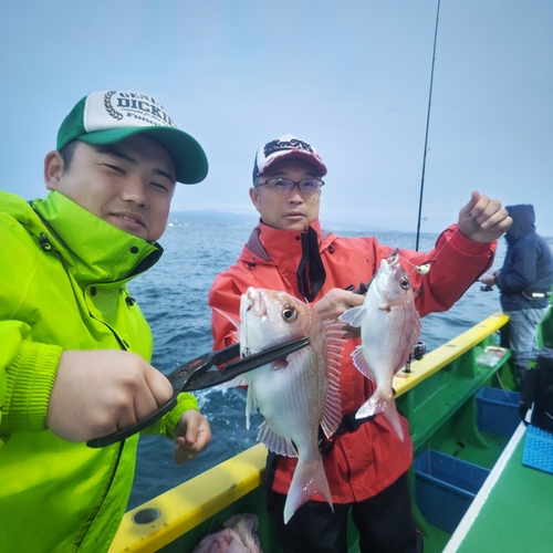 マダイの釣果