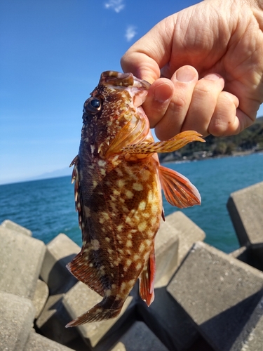 堅苔沢漁港