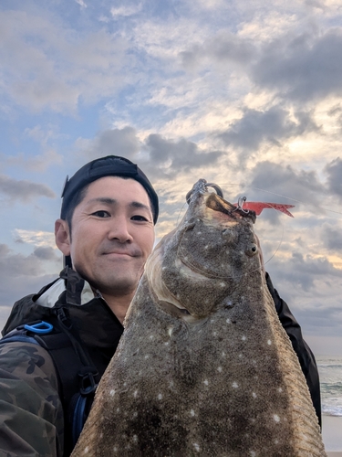 ヒラメの釣果