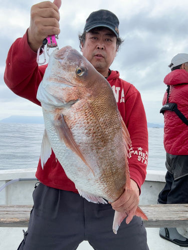 マダイの釣果